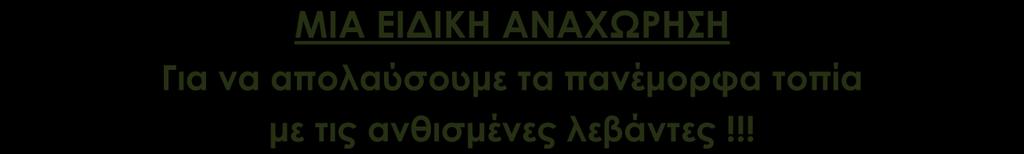 Κάννες Νίκαια Μασσαλία Προβηγκία