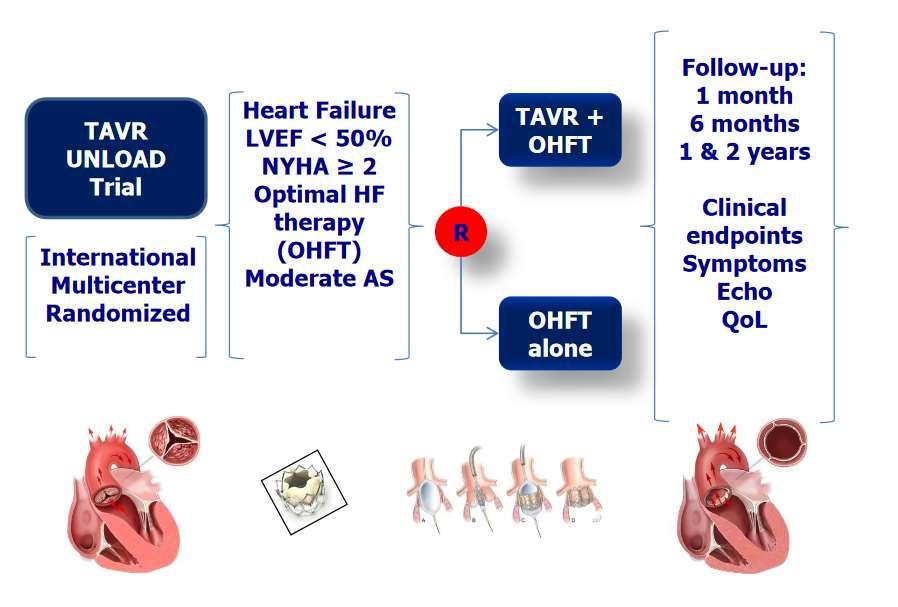 TAVR UNLOAD Trial