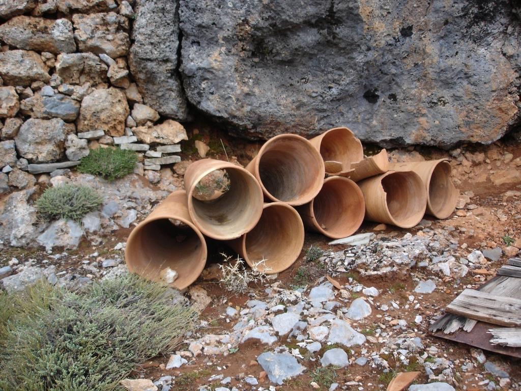 φύση (κουφάλες δέντρων,