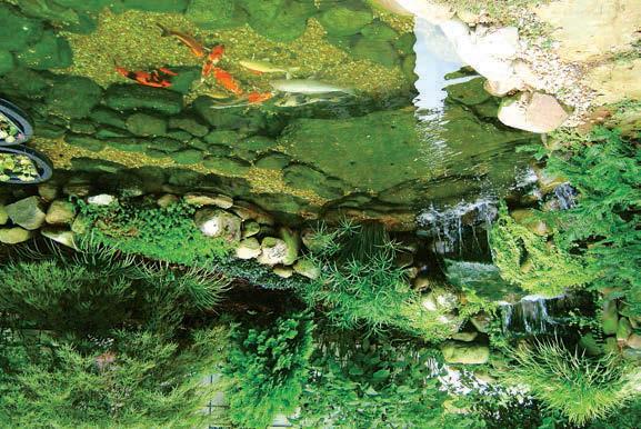 Πλήρωση με τσιμέντο Ανοξείδωτος σφιγκτήρας Αντλία Οι διαστάσεις μιας διακοσμητικής πισίνας εξαρτώνται από το επιθυμητό αισθητικό αποτέλεσμα.
