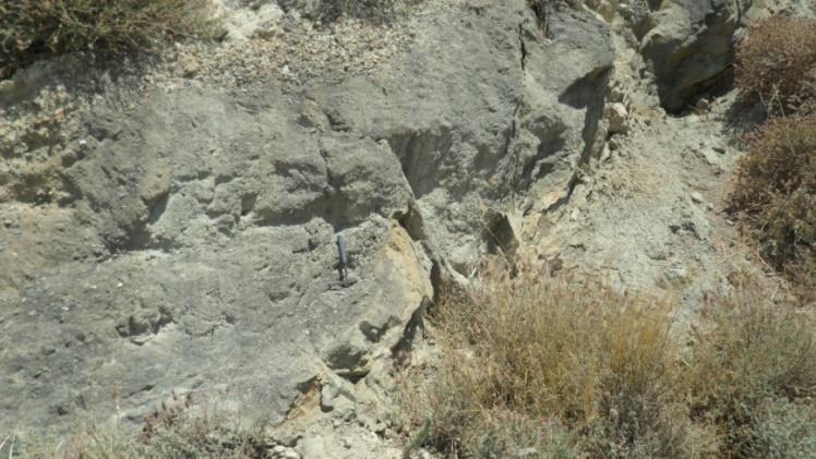 κροκαλοπαγές.