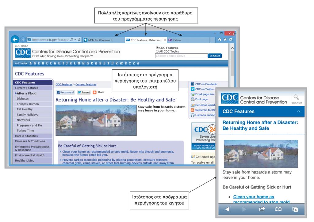Ο Παγκόσμιος Ιστός Πρόγραμμα περιήγησης ή πλοήγησης (browser) είναι μία εφαρμογή που επιτρέπει σε χρήστες με σύνδεση στο Διαδίκτυο να έχουν πρόσβαση και να δουν ιστοσελίδες σε έναν υπολογιστή ή μια