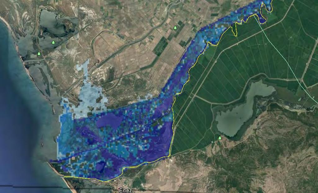 κατάντη τμήμα, όπου παρατηρείται υπέρβαση του αναχώματος και πλημμυρισμός δελταϊκών εκτάσεων, με βάθη ροής < 2,0 m ακόμη και για Τ=50