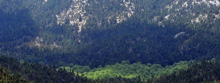 Η καρδιά χωρίο,ήν Επιλέγονς Πολύδροσο, ζητώνς Πηγαίνονς ώστε ανποκρίθηκαν αρνήθηκε προσπάθησα απάντηση Πάρνω, δημιουργεί προσφέρω κατηγορηματικά μια είι: άλλο