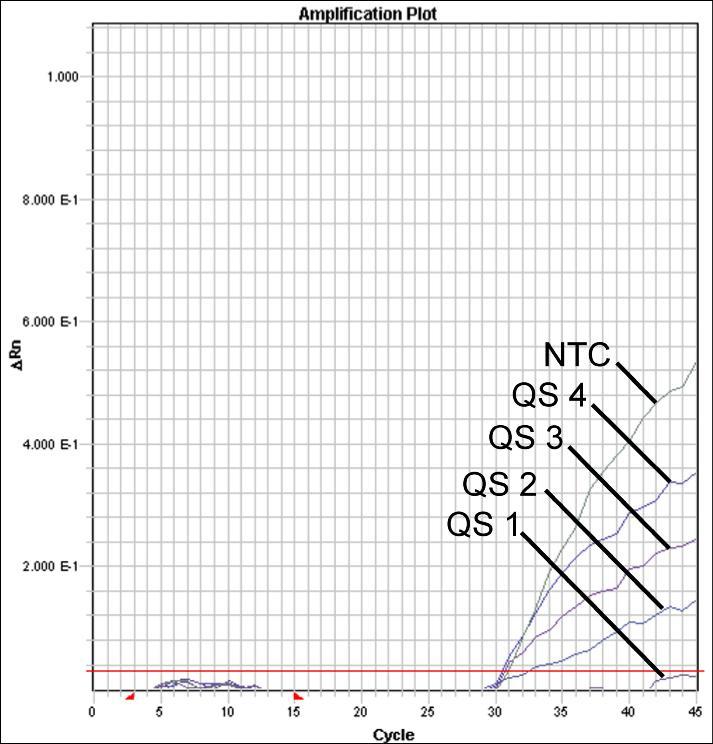 NTC: non-template control (αρνητικό πρότυπο). Εικ.