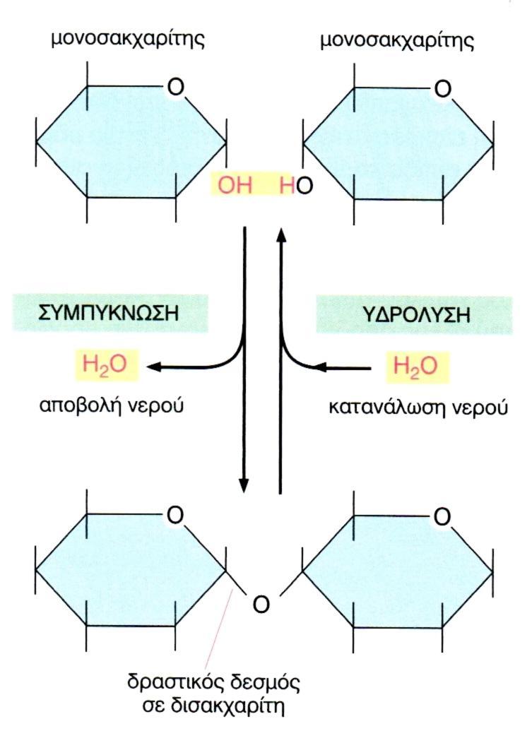 Συμπύκνωση