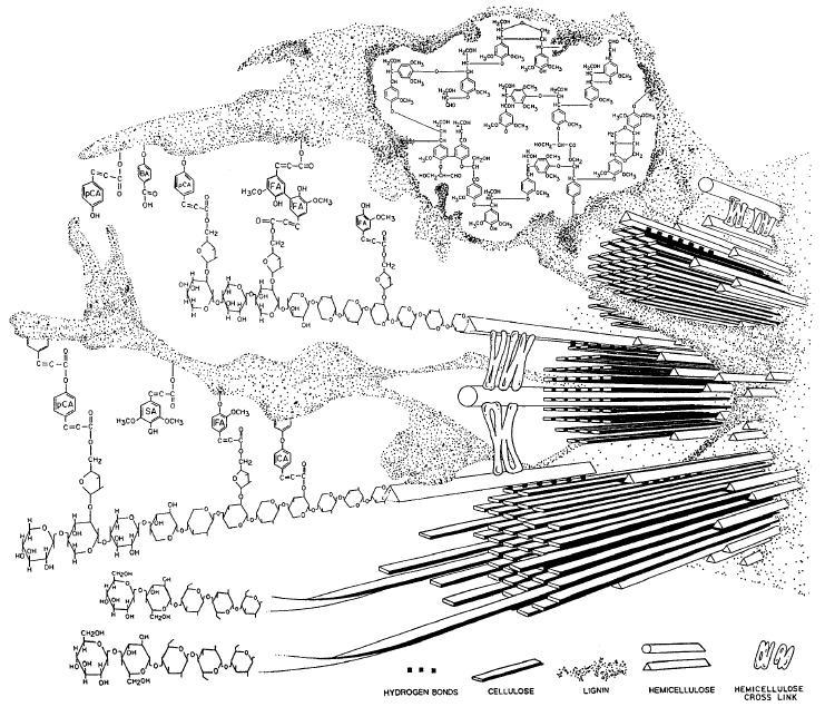 Bidlack et al.