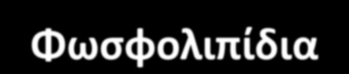 Φωσφολιπίδια Αποτελούν βασικό συστατικό των κυτταρικών