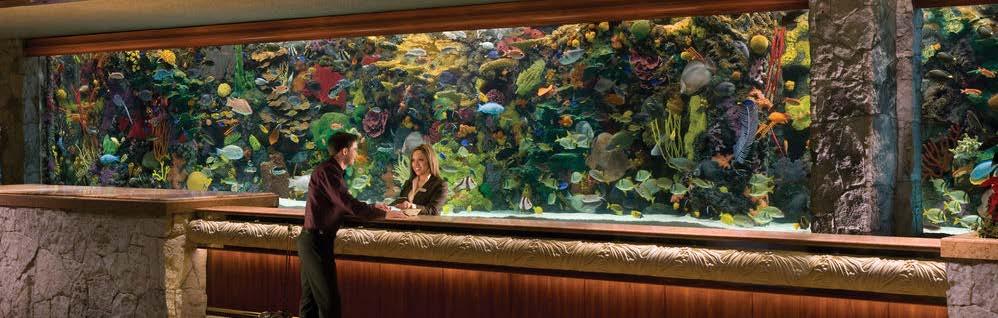 Ανατομία μίας ΑΙ επίθεσης Τα στοιχεία: Casino με τοπικό Computer Room και αποθήκευση Customer Data Ευρεία χρήση IoT Ενυδρείο