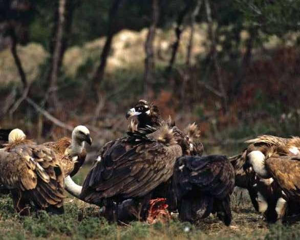 επιχειρήσεις και έχουν διοχετευθεί κεφάλαια ύψους 5,3 εκατ.
