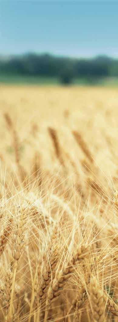 Πίνακας Περιεχοµένων EIP-AGRI προώθηση της καινοτοµίας στον τοµέα της γεωργίας Ευκαιρίες Χρηµατοδότησης, προώθηση της γεωργικής καινοτοµίας Σημείο Εξυπηρέτησης του EIP-AGRI, συνδέοντας όλους τους