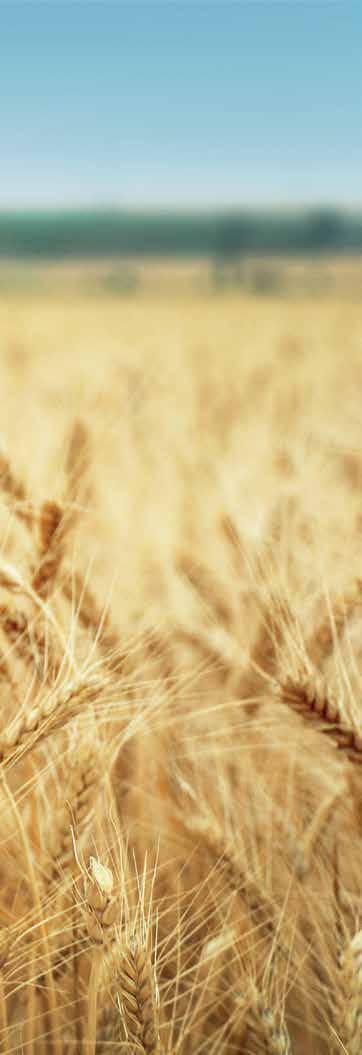 EIP-AGRI προώθηση της καινοτοµίας στον τοµέα της γεωργίας Η Ευρωπαϊκή Σύµπραξη Καινοτοµίας για τη Γεωργία (EIP-AGRI) έχει συσταθεί ως ένα νέο µέσο στήριξης της γεωργίας και