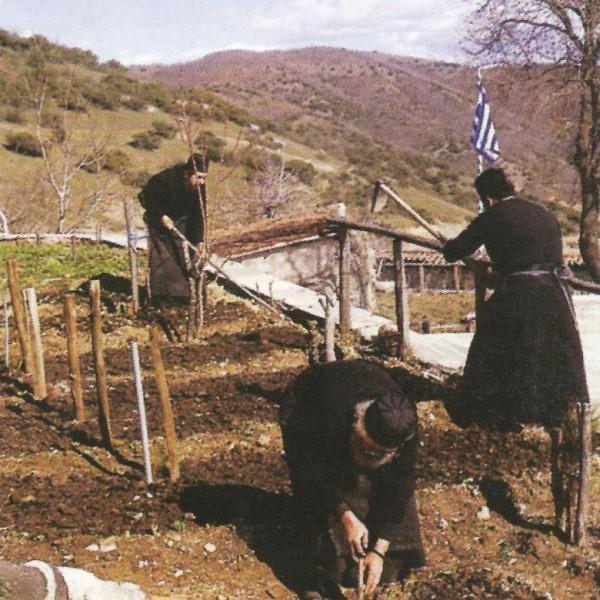 α) του Αγίου Νεκταρίου β) του Αγίου Ιωάννη της Κλίμακος και της ισαποστόλου Αγίας