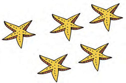 Πόσα πόδια έχουν οι 5 αστερίες; φορές το = Oι 5 αστερίες έχουν πόδια. 12 1.