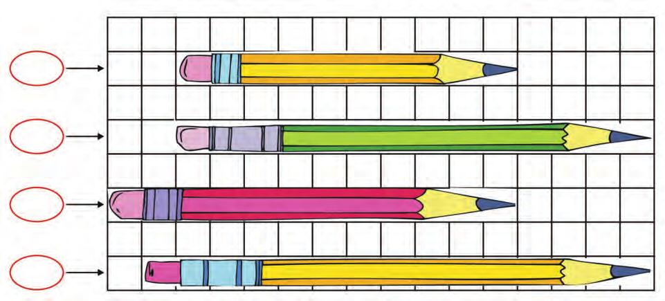 54 Μέτρηση μεγεθών Πόσα τετραγωνάκια είναι το μήκος κάθε μολυβιού; Συμπληρώνω τους αντίστοιχους αριθμούς.