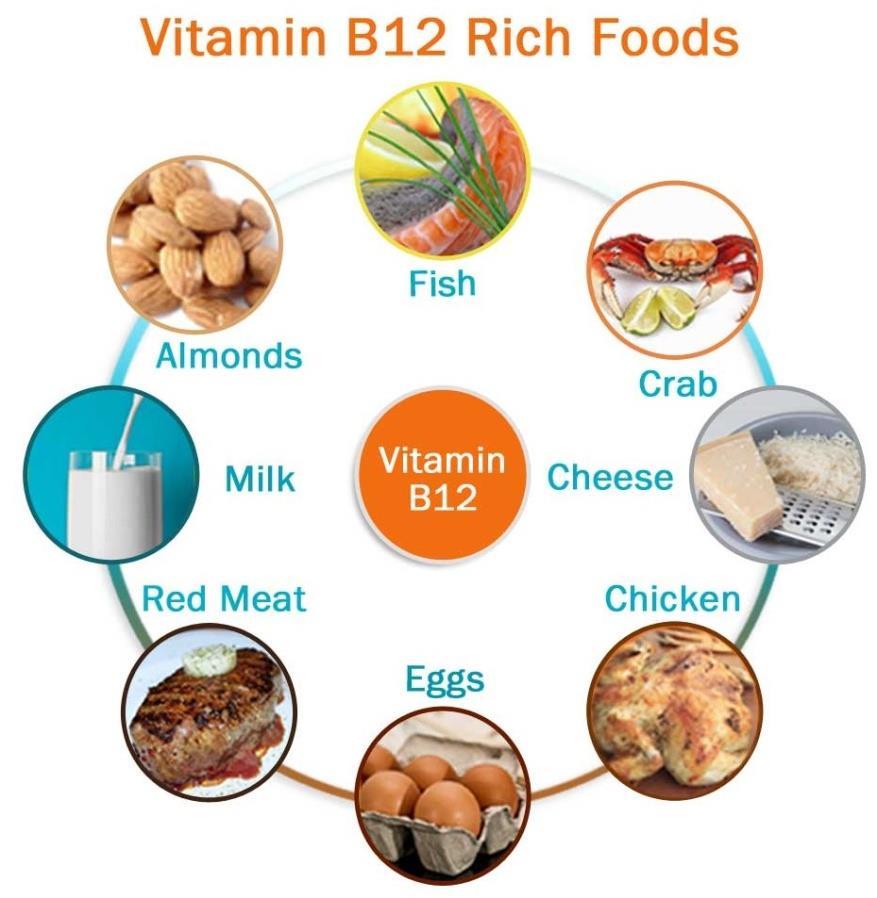 Επάρκεια σε Β12 Μοναδική πηγή της βιταμίνης Β12 τα προϊόντα ζωικής προέλευσης Τα γαλακτοκομικά