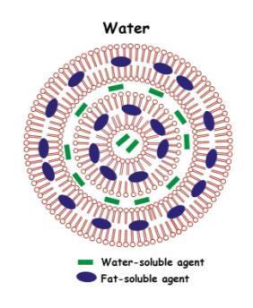 12-0.14 Unilaminar liposome Carrier lipids: HSPC, DSPG, cholesterol Particle size