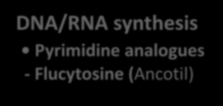 Αντιμυκητιακά με δράση στη σύνθεση DNA/RNA Cell membrane Polyene antibiotics Azole antifungals DNA/RNA