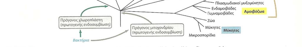 Σχ.263.