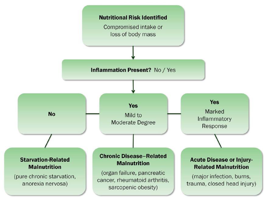 Marasmus Cachexia Protein-energy undernutrition (PEU) White JV et