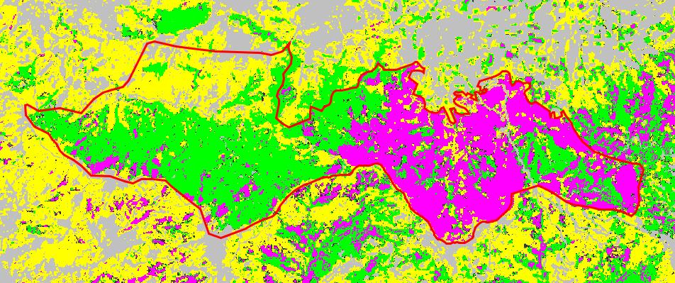 του αλγορίθμου Random Forests λαμβάνοντας ως μεταβλητές είτε μόνο τα φασματικά κανάλια ή τα φασματικά κανάλια μαζί με τους δείκτες βλάστησης και