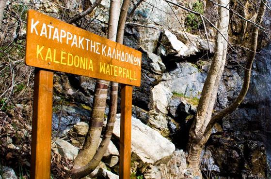 Σ αυτό το τμήμα του δικτυακού τόπου μπορείτε να βρείτε όλες τις σχετικές πληροφορίες για τα 31 μονοπάτια πεζοπορίας, ενώ λεπτομερές φυλλάδιο,