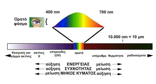 Το ορατό μέρος του ηλεκτρομαγνητικού φάσματος της ηλιακής ακτινοβολίας αποτελεί ένα πολύ μικρό τμήμα του στο εύρος 400-700 nm. Αυτό το εύρος αξιοποιεί η φωτοσύνθεση.