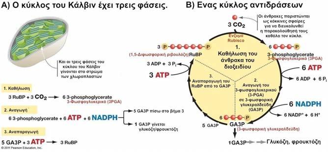 35 Σχήμα 2.27.