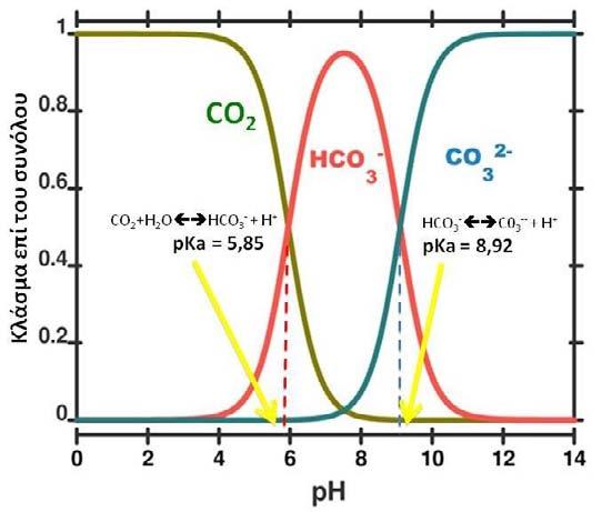 45 Μηχανισμοί συγκέντρωσης διοξειδίου του άνθρακα από τα φύκη Αν για τα φυτά της χέρσου η απόκτηση του CO 2 από την ατμόσφαιρα δεν εμπεριέχει ιδιαίτερες δυσκολίες η κατάσταση είναι εντελώς