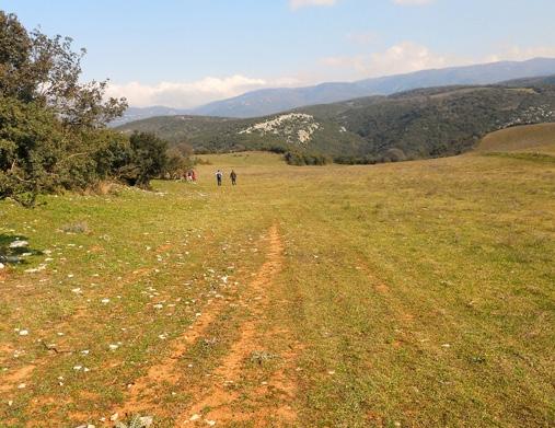 Σελίδα 7 Θήβα: