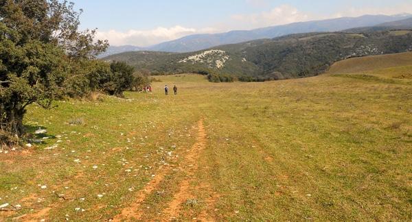 Νεοχωρακίου, με φερόμενη ιδιοκτήτρια την εταιρεία ΣΚΥΤΑΛΗ Συνελήφθη ο Αλέξανδρος Λυκουρέζος Ενταλμα σύλληψης και για τον δικηγόρο Θεόδωρο Παναγόπουλο Ένταλμα σύλληψης και κατά του γνωστού δικηγόρου