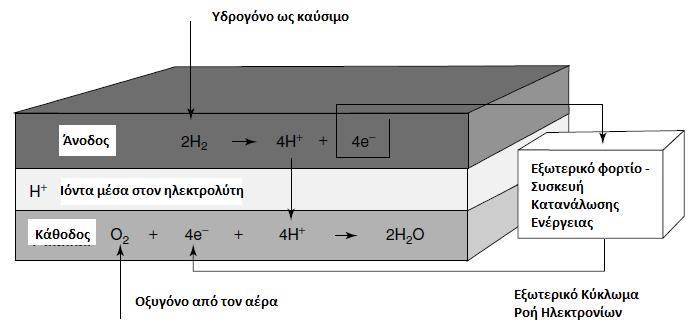 Ο + 4e - + 4H + Θ Ο Να ςθμειϊςουμε φυςικά ότι τα δφο θλεκτρόδια είναι μεταξφ τουσ ςυνδεδεμζνα και ότι ο θλεκτρολφτθσ δεν πρζπει να επιτρζπει τθ διζλευςθ θλεκτρονίων μζςα από αυτόν.