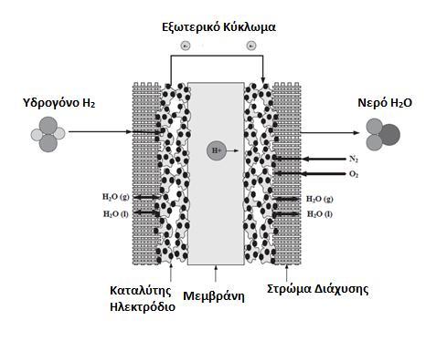 Σα τρώματα Διάχυςησ (Gas Diffusion Layers-GDL) Το Στρϊμα Διάχυςθσ βρίςκεται μεταξφ του θλεκτροδίου και των διπολικϊν πιάτων.