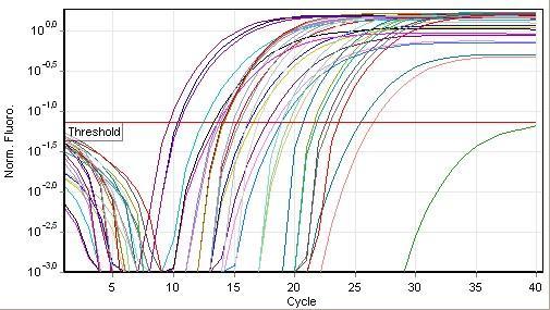 Μέθοδος Επαλήθευσης Quantitative PCR Cyclin A Green for Col1a1, Col2a1,