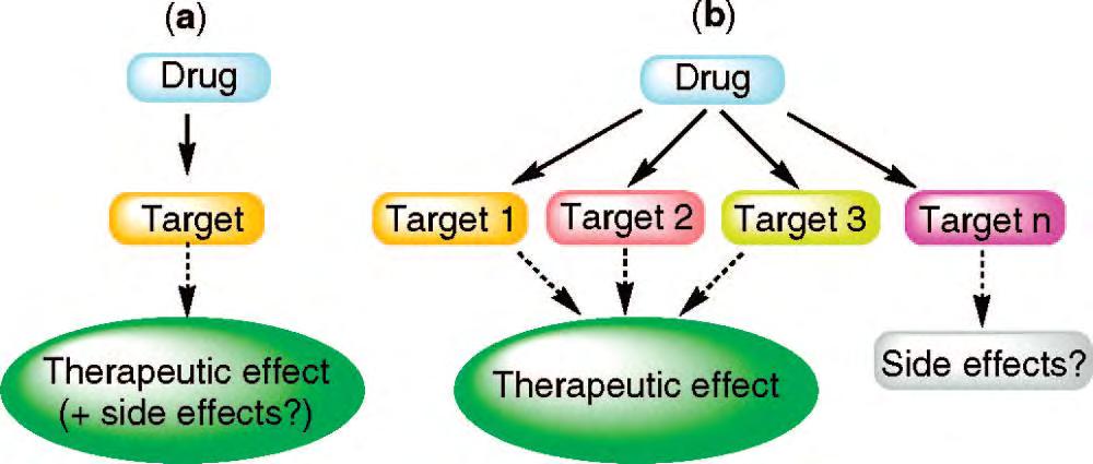 σχεδιαστεί έτσι ώστε να δρα εκλεκτικά σε πολλούς στόχους. Σαφώς, μία θεραπεία με ένα μόνο φάρμακο που έχει πολλαπλές βιολογικές ιδιότητες θα έχει εγγενή πλεονεκτήματα έναντι των MMT και FDC.