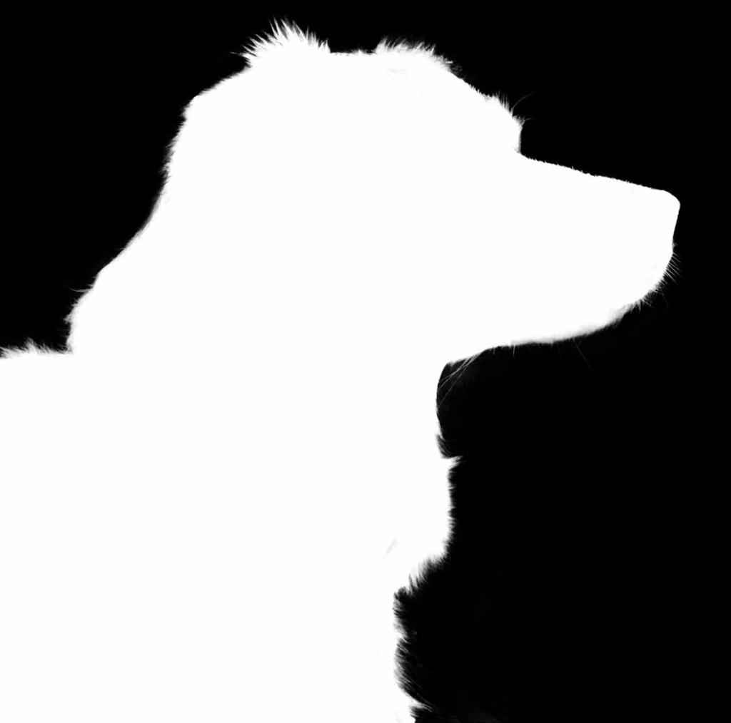 Η Canine NC NeuroCare είναι η τελευταία καινοτομία στις κλινικές δίαιτες της PURINA PRO PLAN, μια κετογονική δίαιτα με 6,5% ΤΜΑ (Τριγλυκερίδια Μέσης Αλύσου) τα οποία παρέχουν μια εναλλακτική πηγή