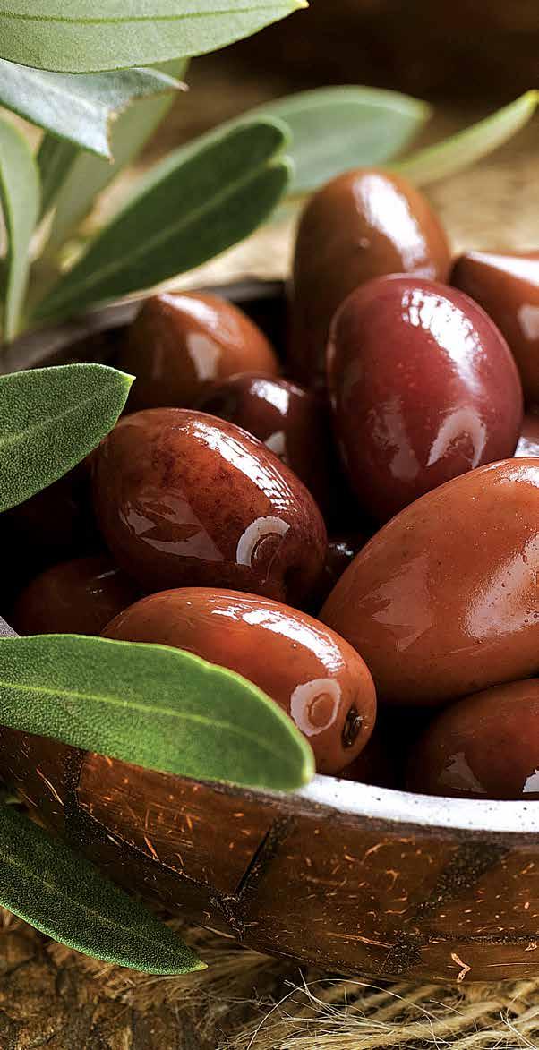 Ποικιλία ΚΑΛΑΜΑΤΑ ΠΑΡΑΓΩΓΗ 55 χιλ.