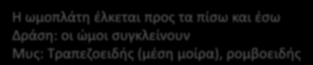ΟΡΙΣΘΙΑ ΑΙΩΘΣΘ-ΕΚΤΑΣΘ-ΡΟΣΑΓΩΓΘ Θ