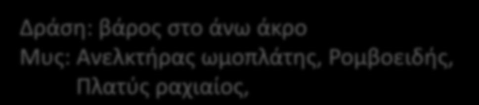 ΕΣΩ ΣΤΟΦΘ κάτω γωνίασ-κατω ΣΤΟΦΘ ακρωμίου Δράςθ: βάροσ ςτο