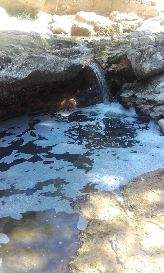 Φωτ. 6α: Ρέμα Καλογήρων, 20μ πριν την συμβολή με ρ. Πικροδάφνης.