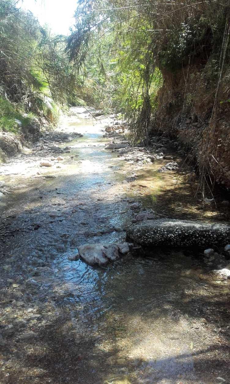 Φωτ 6β: Ρέμα Πικροδάφνης κοντά στην συμβολή με το Ρ.
