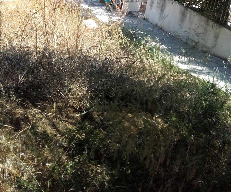Λαύρας) οπότε χρειάζεται αντλία προκειμένου να μεταφέρει τα απόβλητά του στο Δίκτυο