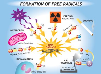 Smoking & particulate matter (PM) Smoking contributes substantially in particulate matter formation PM includes various heavy