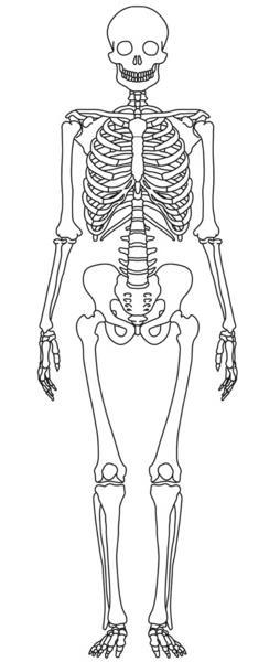 Εντόπιση Μεταφύσεις και επιφύσεις μακρών οστών, κυρίως των κάτω άκρων Κλείδα Σπόνδυλοι (κυρίως ΘΜΣΣ) Κάτω γνάθος, πλευρές, στέρνο Έχει αναφερθεί ταυτόχρονη