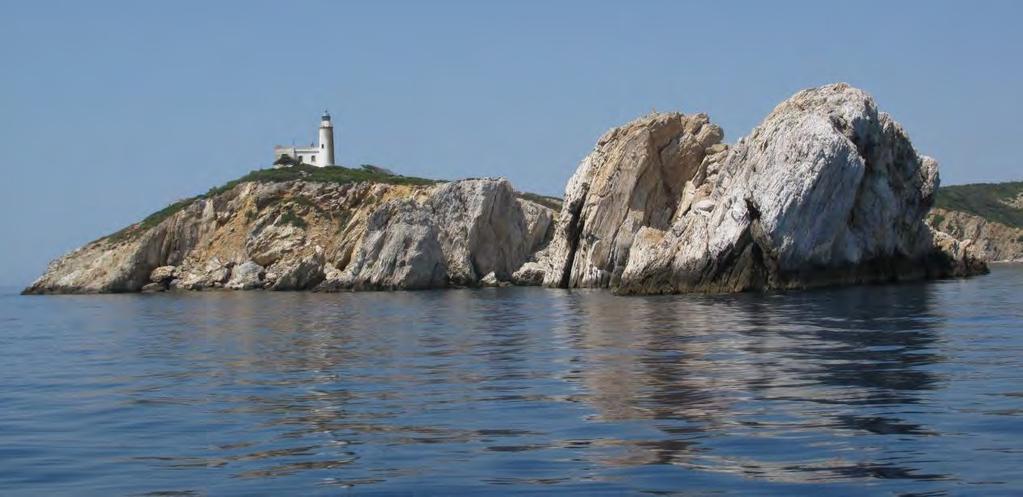 Τροφοληψία Ξεκούραση και ανεφοδιασμό Μετανάστευση και τοπικές μετακινήσεις Τα ΙΒΑ αποτελούν τη