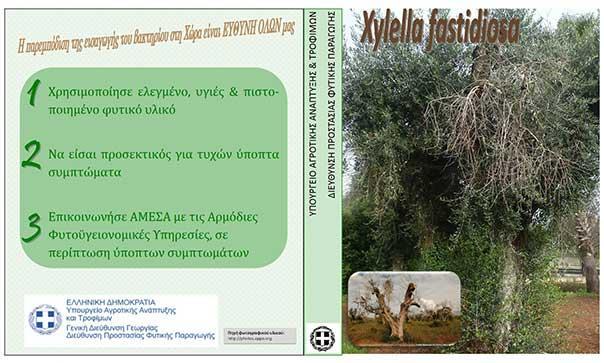 Φυλλάδιο