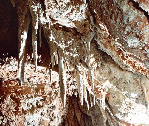 Η θερµοκρασία 4 µετρήθηκε στους 22 ο Κελσίου µε το ενσωµατωµένο θερµόµετρο κινητού τηλεφώνου Nokia 5140.