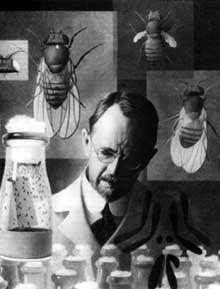 (1915) The Mechanism of