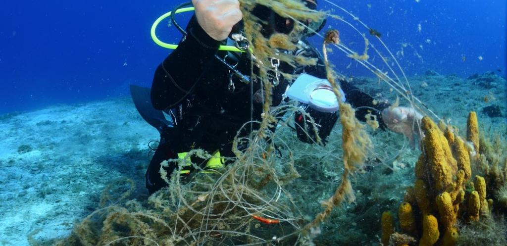 Δράσεις προστασίας στο πεδίο Τι καταφέραμε Προσδιορισμός αγκυροβολιών φιλικών στη ποσειδωνία Σχεδιασμός υποβρύχιων καταδυτικών