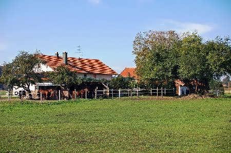 Βοσκή Υπεύθυνος Επικοινωνίας σας : Ο κ Olav Lenk Lenk Ακίνητα intramakler - Real-Estate-Business-Network Eichendorffstrasse 3 84547